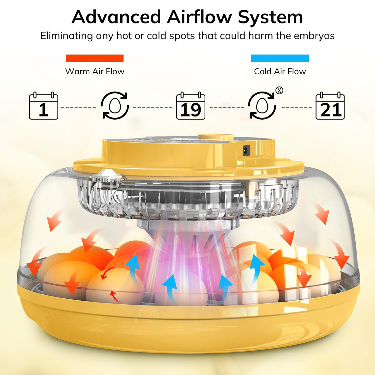 Innvello LCD display on the incubator showing temperature and humidity at a glance.