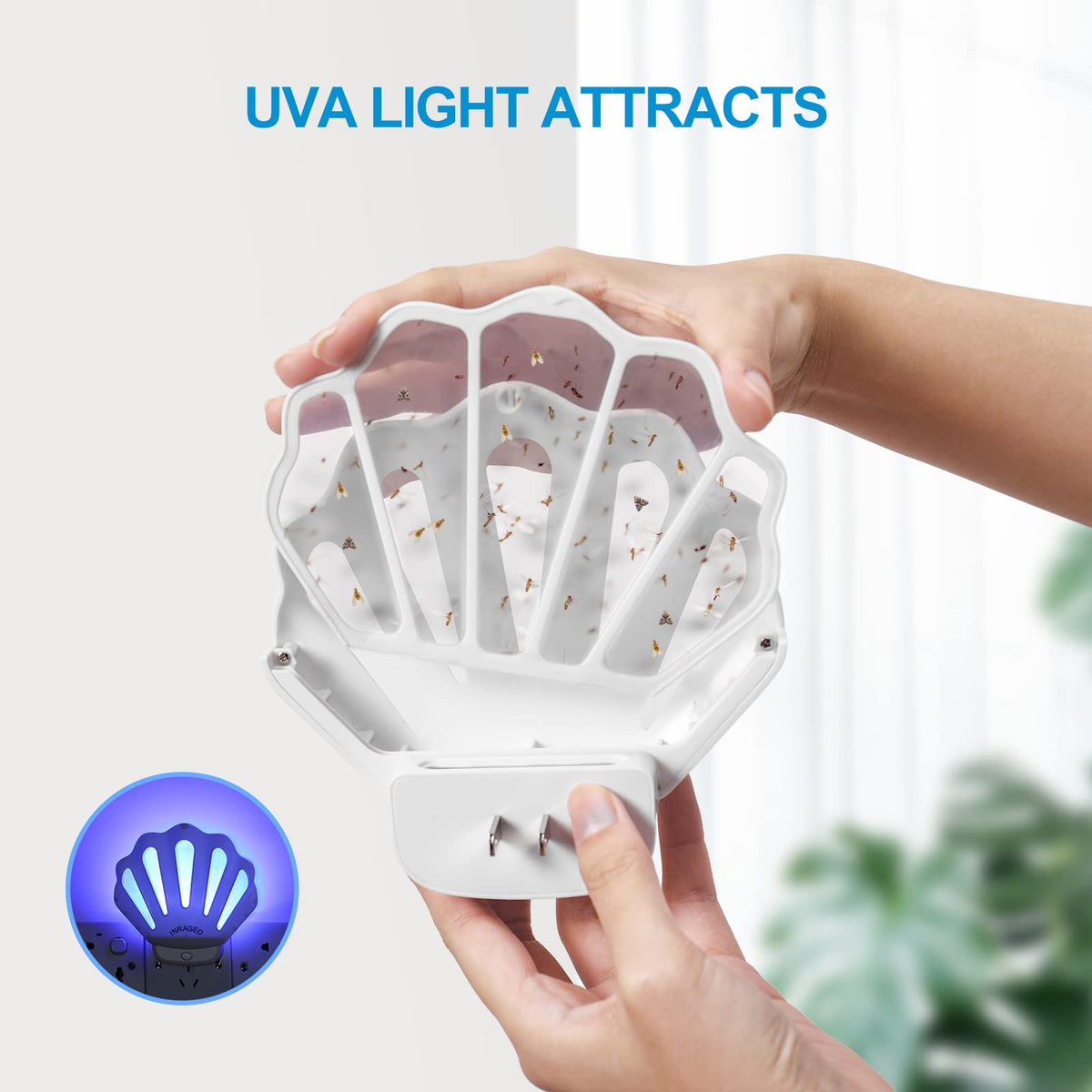 INRAGEO Gnat Trap Indoor night-light view reveals a gentle purple glow for evenings.