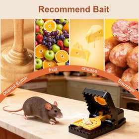 Insoma wall placement helps target frequent rodent pathways.