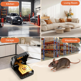 Insoma large trigger plate helps capture mice reliably.