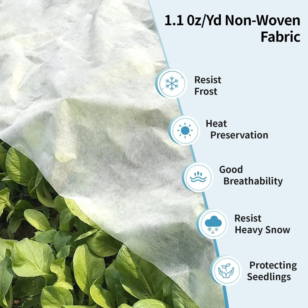 Insoma frost blanket protecting vegetables from cold snaps and wind