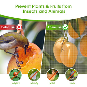Insoma netting placed over plants creating a barrier against birds and pests.