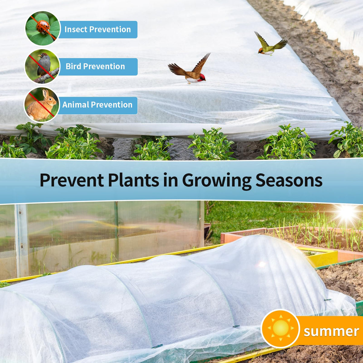 Insoma plant cover used as summer sun protection for garden beds
