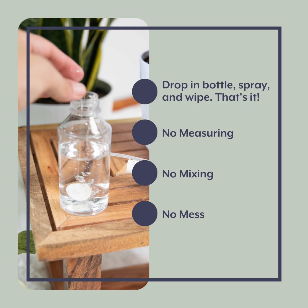 Close-up of indoor plants protected by Instant Biologics solution.