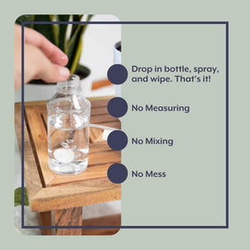 Close-up of indoor plants protected by Instant Biologics solution.
