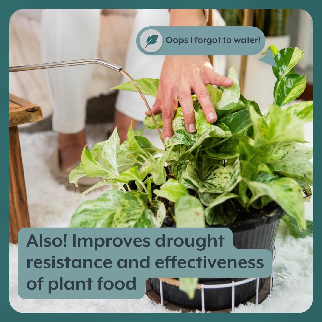 INSTANT BIOLOGICS Container planting with Instant Plant Support improving soil health