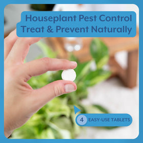 Instant Biologics peppermint spray on plants for pest management.