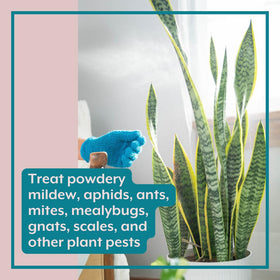 Reusable spray bottle for sustainable plant protection.