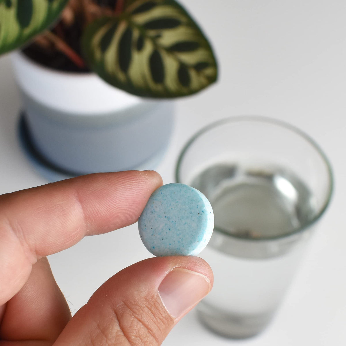 INSTANT BIOLOGICS desert plant tablets support hardy succulents with steady nourishment.