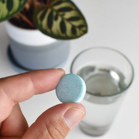 INSTANT BIOLOGICS desert plant tablets support hardy succulents with steady nourishment.