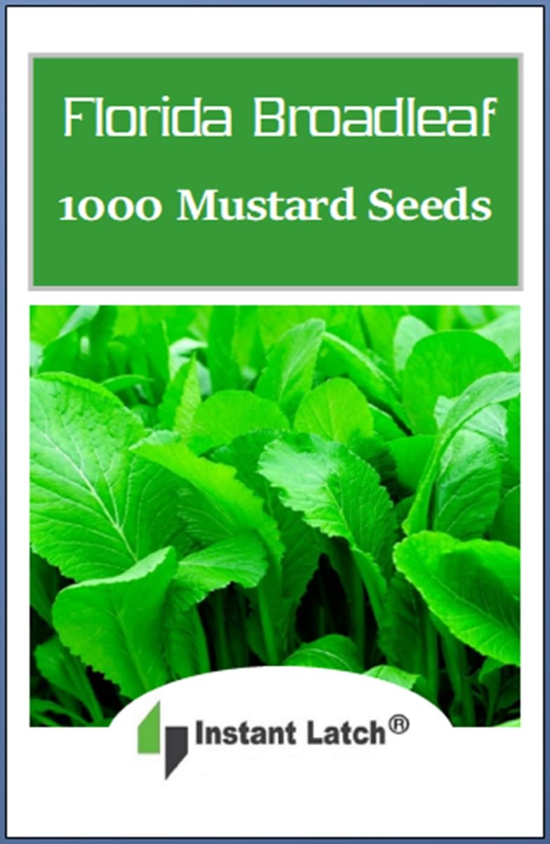 Instant Latch 1000 Florida Broadleaf Mustard Seeds seed packet for home gardening and fresh greens