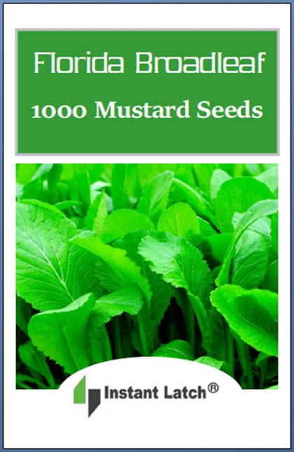 Instant Latch 1000 Florida Broadleaf Mustard Seeds seed packet for home gardening and fresh greens