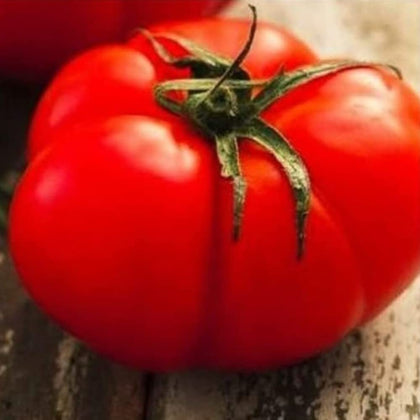 Instant Latch 500 Beefsteak seeds pack, ready for warm-season planting