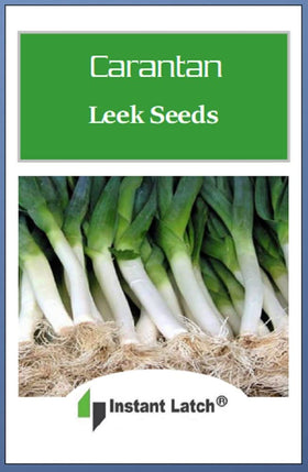 Instant Latch Carantan leek seeds being sown, great for warm-season indoor sowing