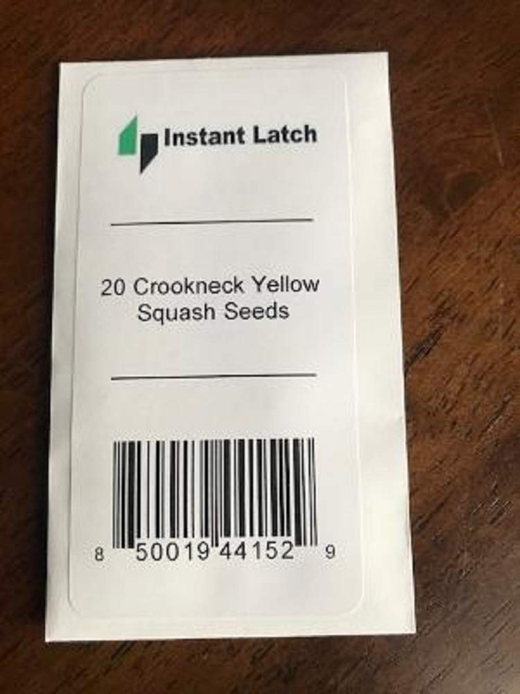Instant Latch crookneck squash harvested fruit ready for fresh eating and storage