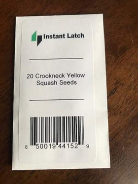 Instant Latch crookneck squash harvested fruit ready for fresh eating and storage