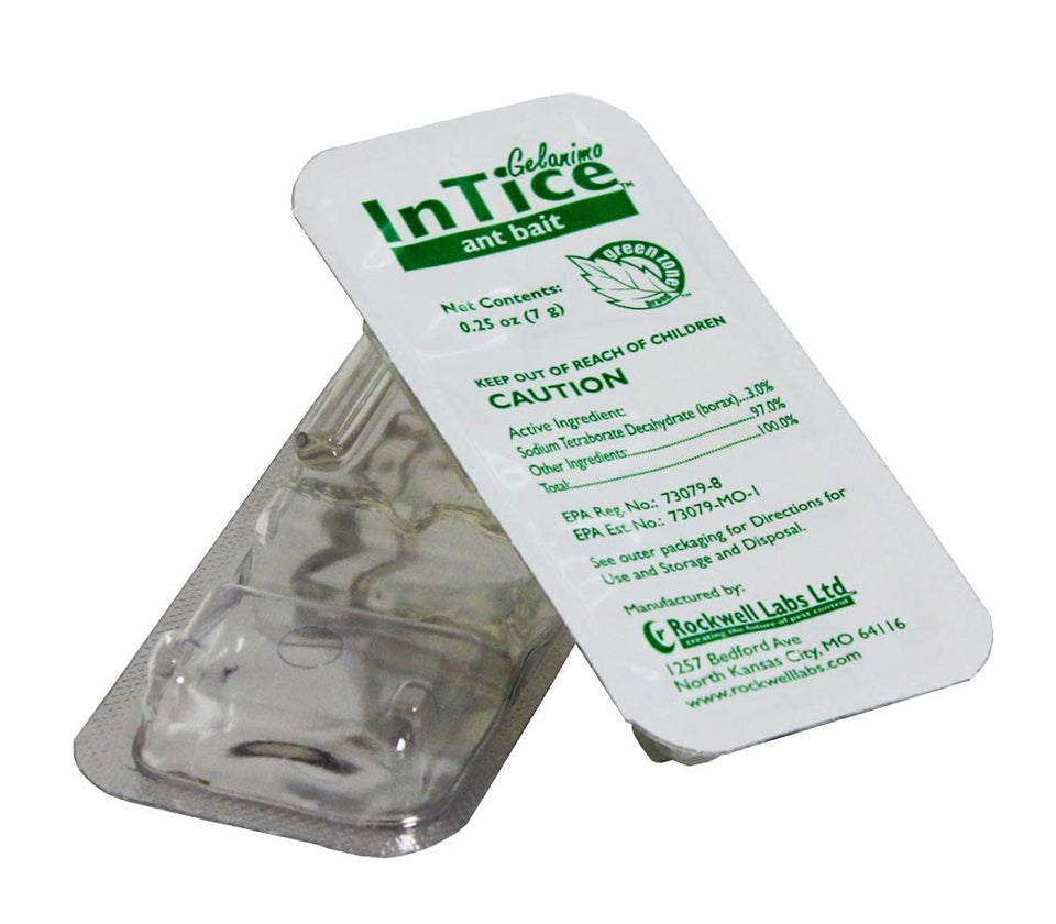 INTICE Gelanimo ant bait station ready-to-use for quick placement in kitchens and entry points