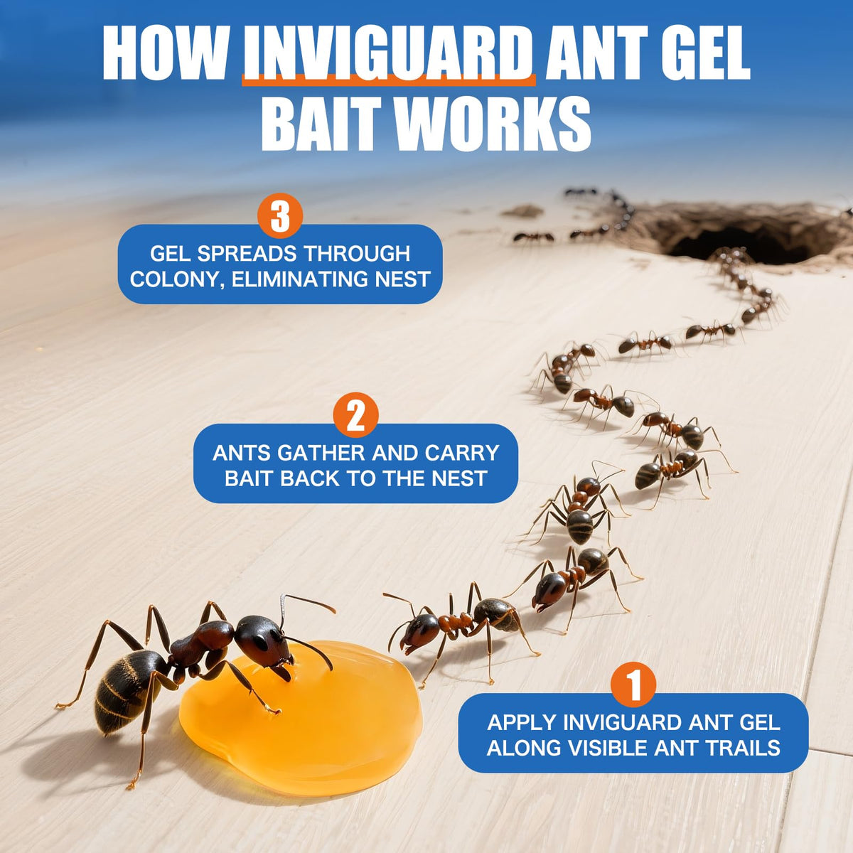 InviGuard Ant Gel Bait applied near ant hills for fast action