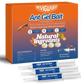 InviGuard Ant Gel Bait syringe for precise indoor application