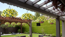 INXUGAO UV-resistant daisies endure sun on outdoor spaces