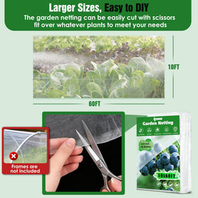 IPOW netting draped over a trellis protects strawberries without shading them.