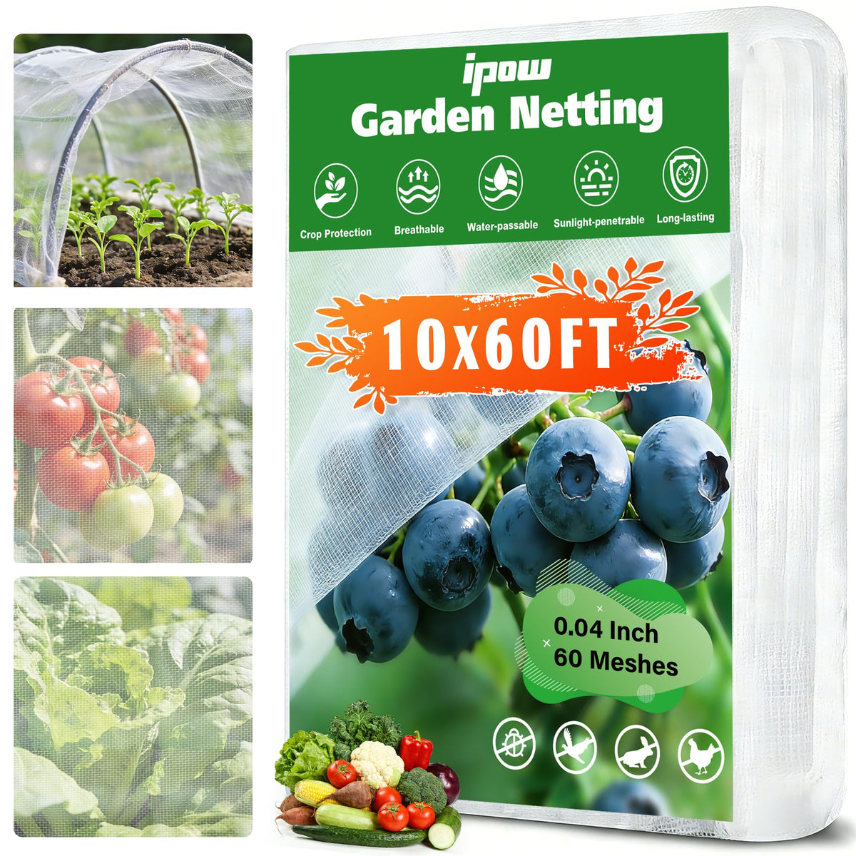 IPOW garden netting covers a berry patch, protecting against pests while letting sunlight through.