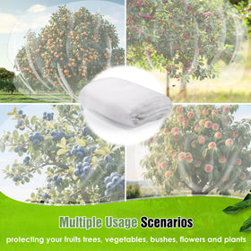 IPOW insect and bird barrier guards garden fruit like cherries and peaches