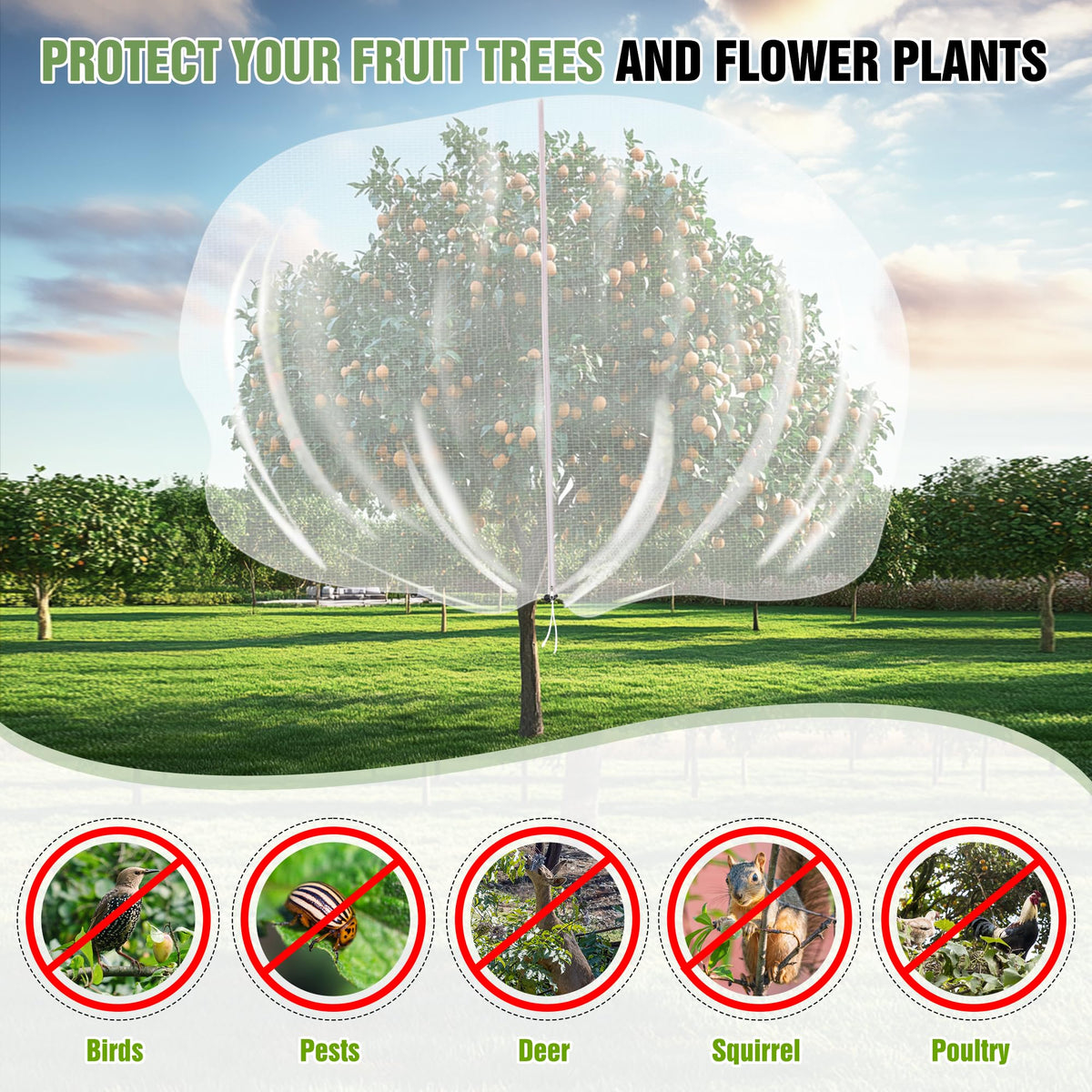 IPOW light permeable netting lets sun and air through to fruit trees