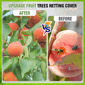IPOW berry netting shields blueberry bushes from birds and pests while preserving sunlight.