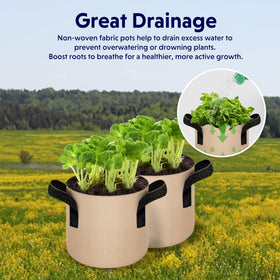 iPower bags suit patios and indoors, enabling seasonal plant management.