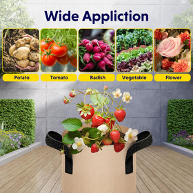 iPower tan grow bags stay cooler and attract fewer insects.