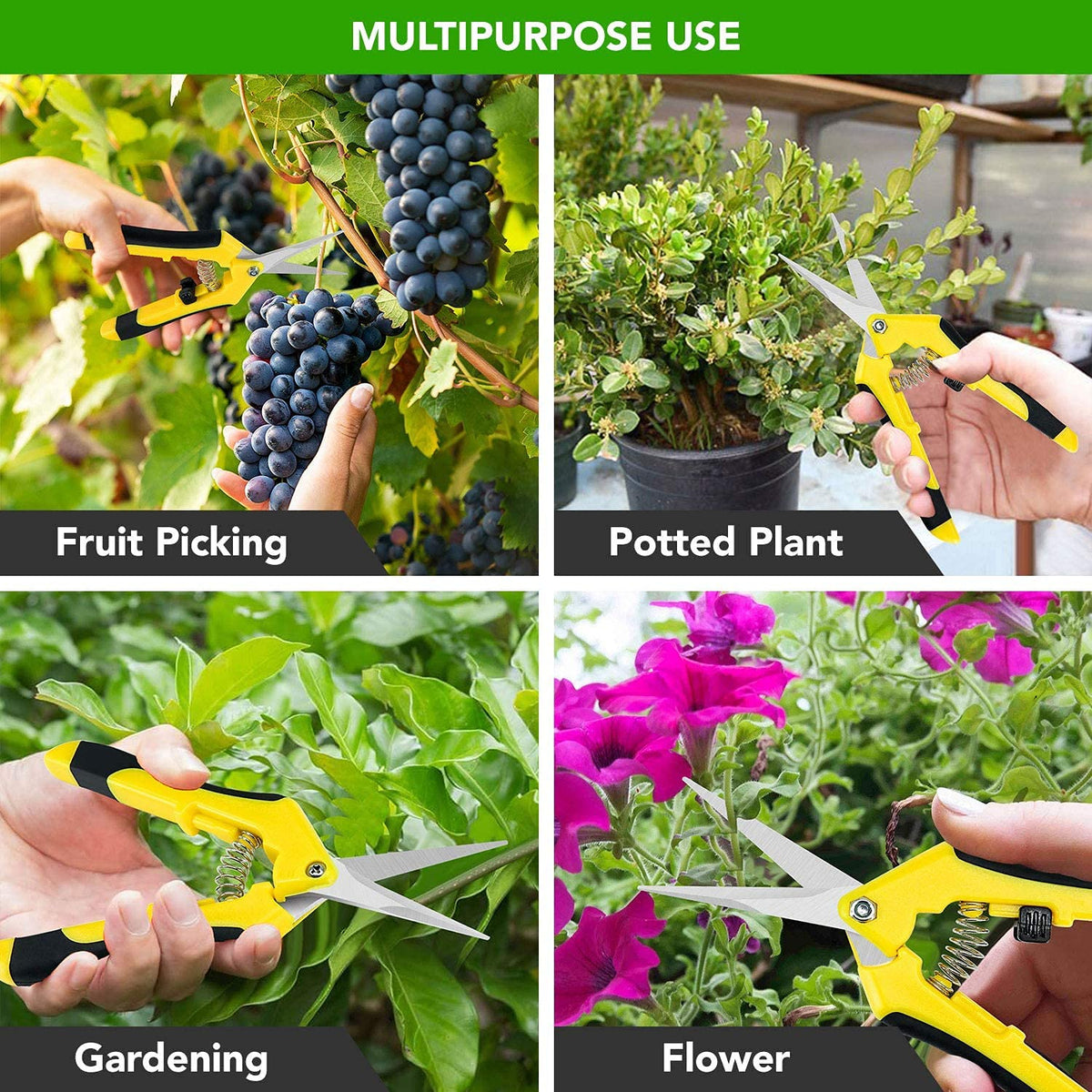 iPower pruning for bonsai, hydroponics, and houseplants with precision