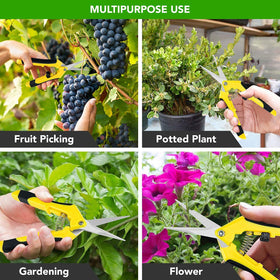 iPower pruning for bonsai, hydroponics, and houseplants with precision