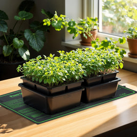 ipower seed germination compatible mat ready for seed trays