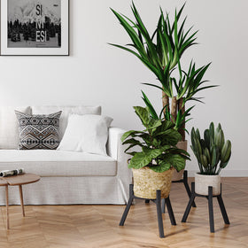 IRCPEN black metal stand enhances balcony or shelf displays.
