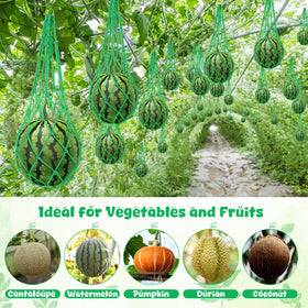Irenare vertical garden setup highlighting fruit protection and tidy aesthetics.