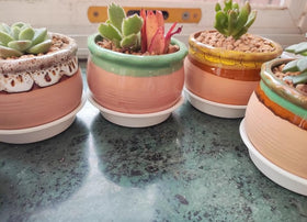 IRIGROVA stackable round saucers save space and simplify organization.