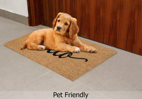 IRONGATE Entrance mat on porch demonstrates low-profile height