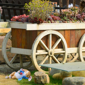 iRonrain Valentine-themed bunny decor sparks romantic outdoor moments.