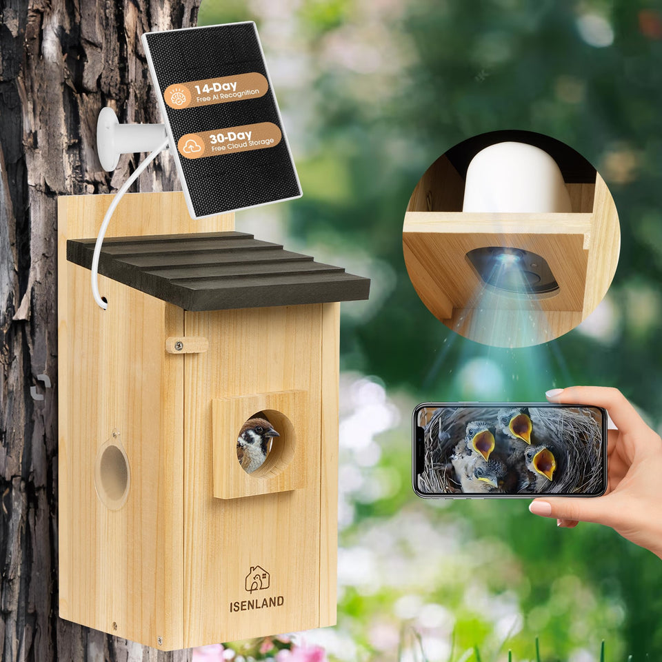 ISENLAND Smart Bird House front view camera for real-time birdwatching.