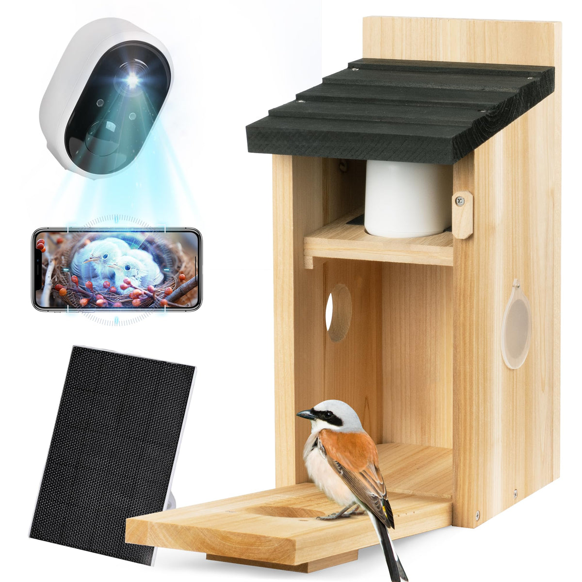 ISENLAND Smart Bird House interior view showing spacious nesting space.