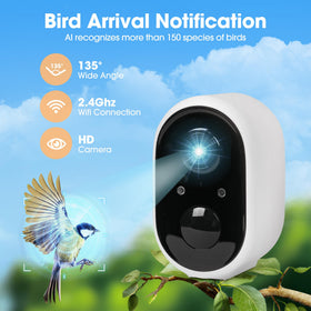 ISENLAND Smart Bird House night vision for after-dark monitoring.
