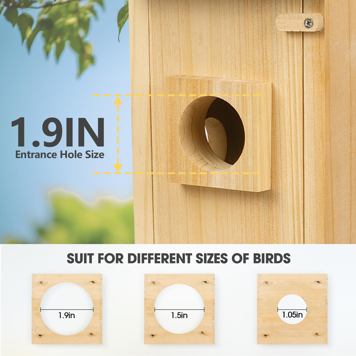 ISENLAND Smart Bird House 2.4G WiFi app enables real-time observation.
