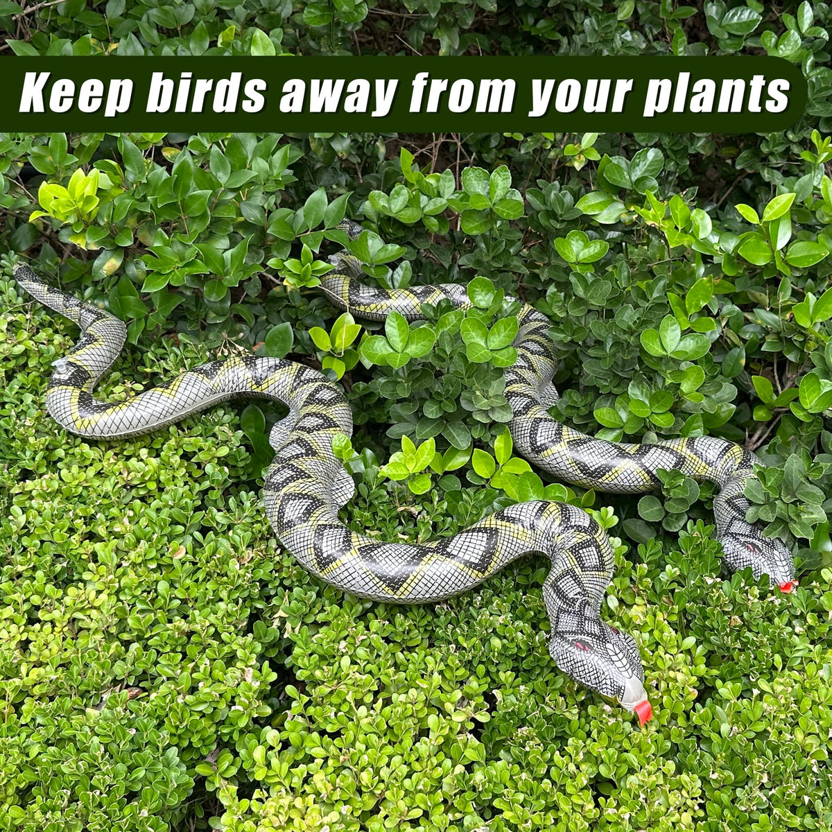 iShyan inflatable snake double-sided print for high visibility from either side.