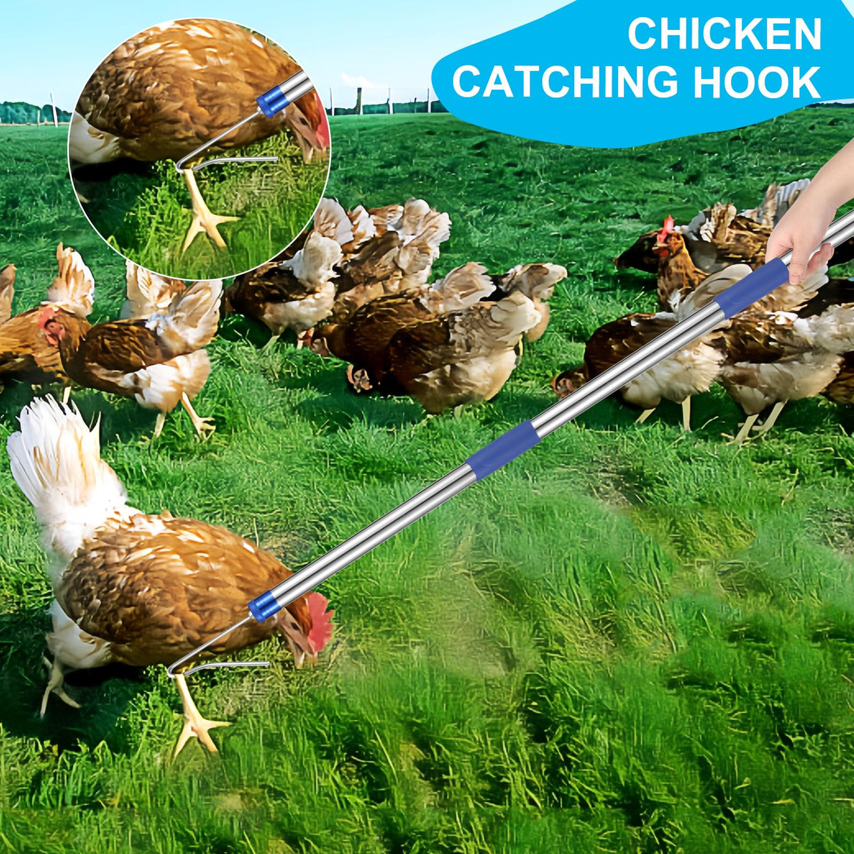 ISIVOVE versatile net suitable for farm and backyard use