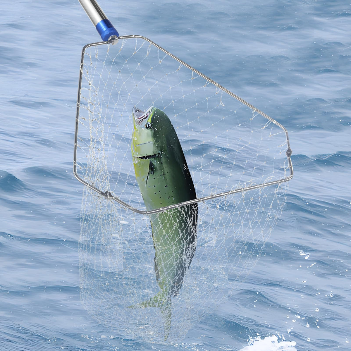 ISIVOVE chicken catching net in action for humane handling