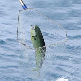 ISIVOVE chicken catching net in action for humane handling