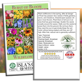 Isla's Garden Seeds Burst of Bloom pollinator habitat boosts bees and butterflies.