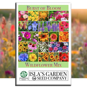 Isla's Garden Seeds Burst of Bloom seed pack, ready for pollinator-friendly sun planting.