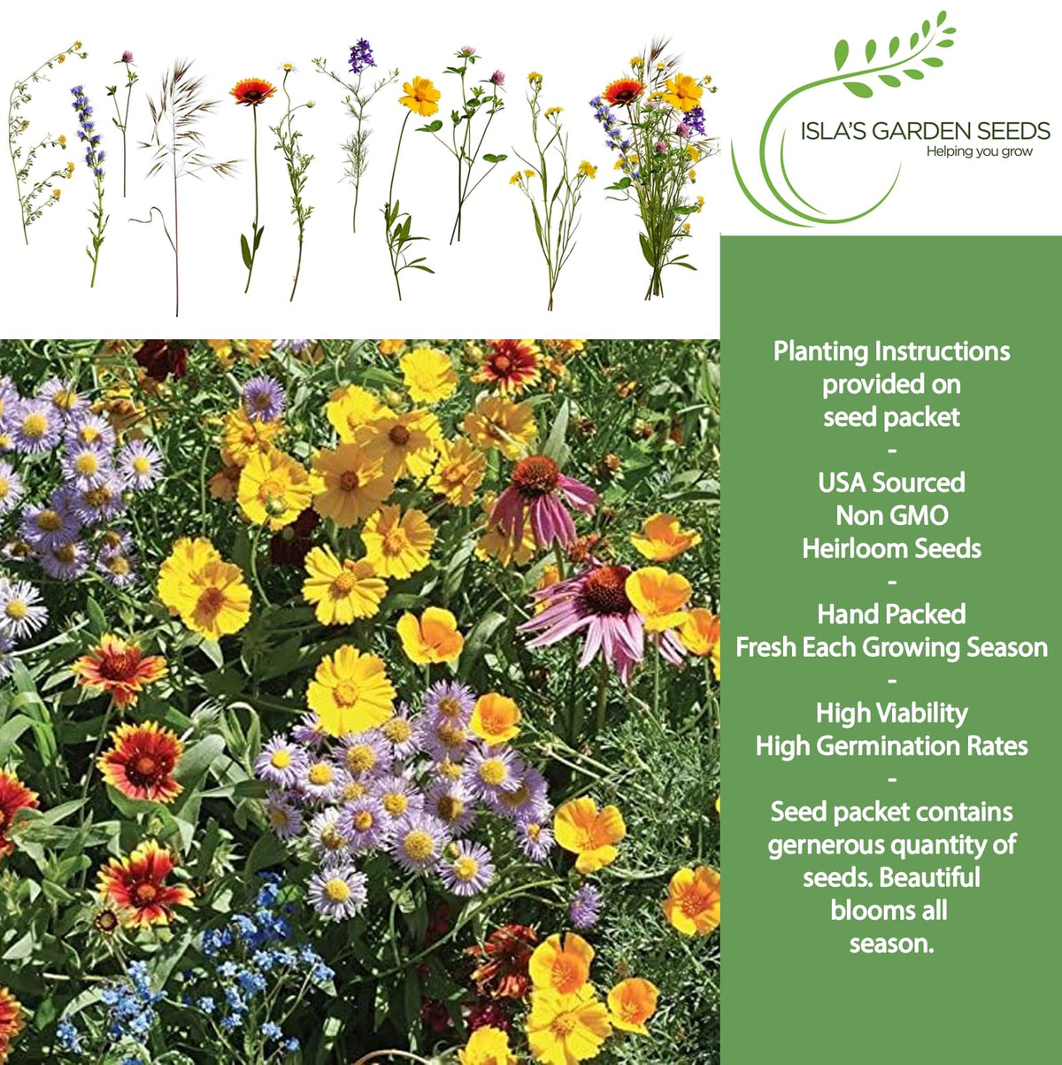 Burst of Bloom wildflower meadow image adds vibrant color to full-sun beds.